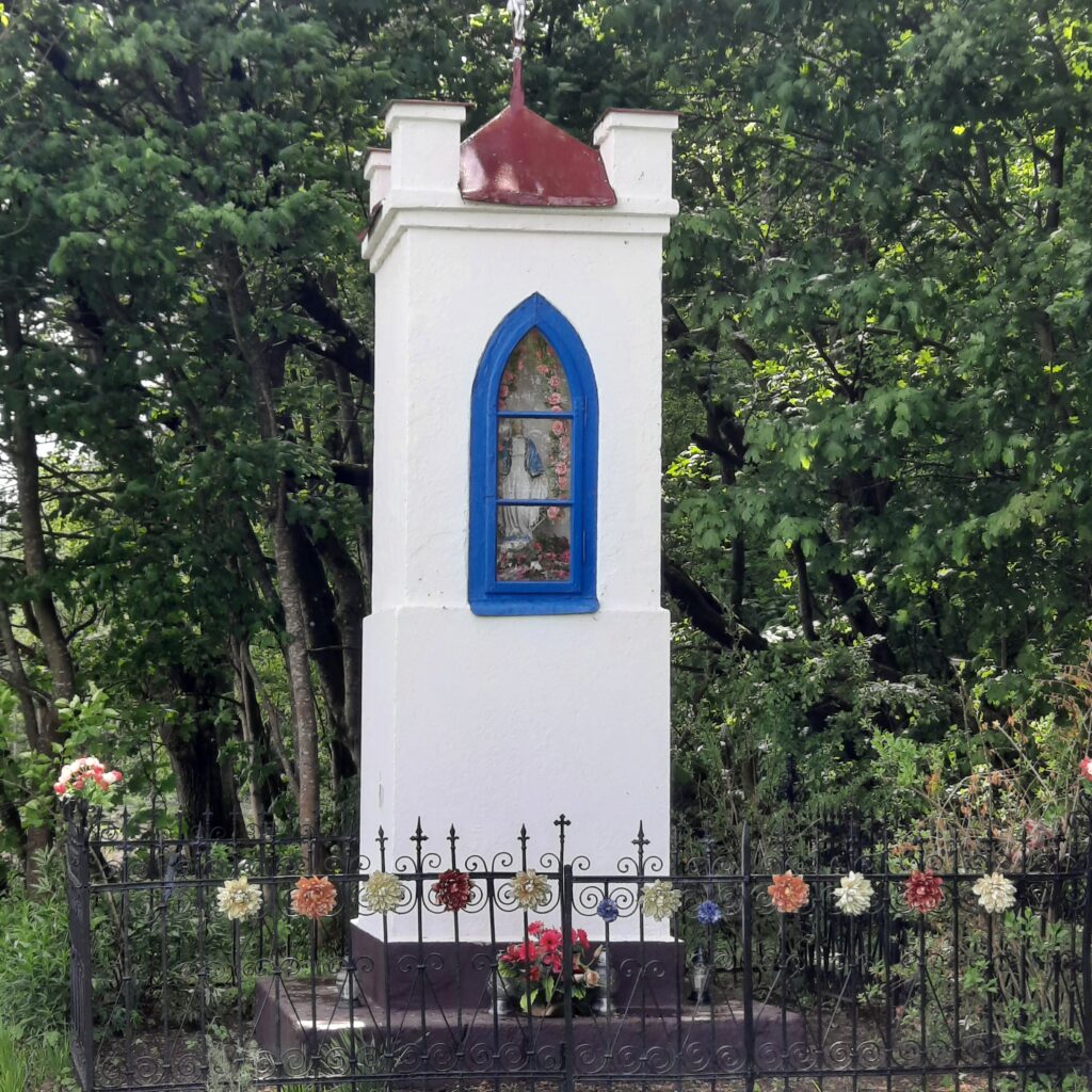 Zdjęcie przedstawia kapliczkę znajdująca się w gminie Frombork, miejscowość Krzyżewo. Kapliczka znajduję się na terenie zalesionym. Ma kształ prostokąta, na górze którego znajduje się daszek z czterema kolumnami w rogach. W białej kapliczce z czerwonym daszkiem wbudowana jest niebieska rama okienna, za którą znajduje się figura Maryi przyozdobiona kwiatami. Kapliczka jest otoczona czarnym, ozdobnym, metalowym płotkiem, przyozdobionym kwiatami.