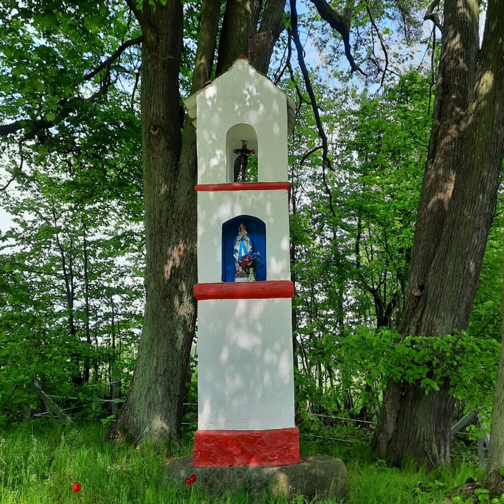 Zdjęcie przedstawia kapliczkę znajdująca się w gminie Frombork, miejscowość Krzyżewo. Kapliczka znajduję się na terenie zalesionym. Ma kształ prostokąta, na górze którego znajduje się daszek. Trzypoziomowa kapliczka w kolorach białym z czerwonymi akcentami posiada dwa wgłębienia, z czego wyższe mieści w sobie krzyż, a niższe figurę Maryi. Jest przyozdobiona kwiatami.